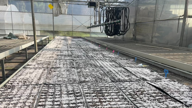 微信圖片_20230315132442.jpg 微信圖片_20230315132442.jpg