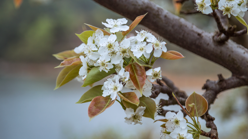 微信圖片_20230315134847.png 微信圖片_20230315134847.png