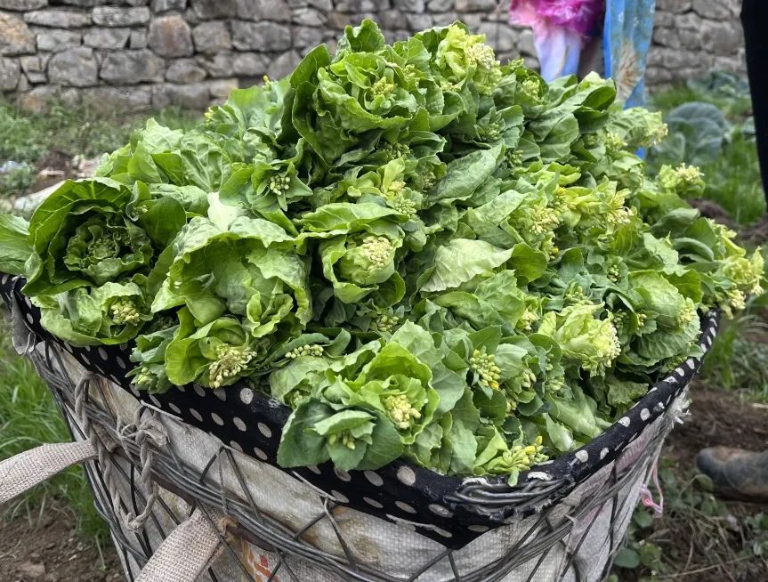 76047b14c3c1c7babb8559e2cd2e68fc_640_wx_fmt=jpeg&wxfrom=5&wx_lazy=1&wx_co=1.jpg 76047b14c3c1c7babb8559e2cd2e68fc_640_wx_fmt=jpeg&wxfrom=5&wx_lazy=1&wx_co=1.jpg