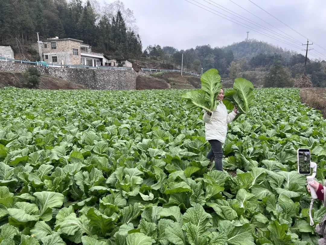 807ab96959618ea0f1007514fe48c6f6_640_wx_fmt=jpeg&wxfrom=5&wx_lazy=1&wx_co=1.jpg 807ab96959618ea0f1007514fe48c6f6_640_wx_fmt=jpeg&wxfrom=5&wx_lazy=1&wx_co=1.jpg