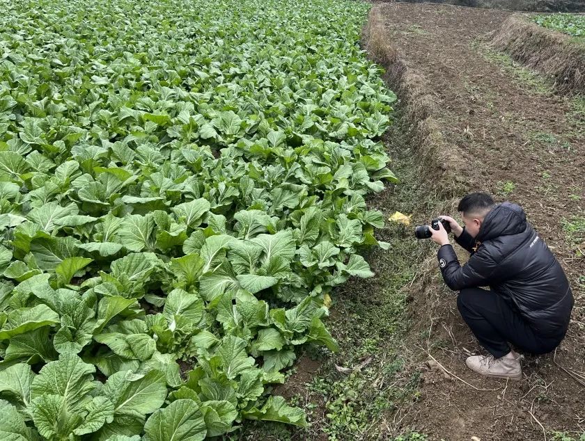 3b0f8ad0b25fc0fc4a49095d46d8dd94_640_wx_fmt=jpeg&wxfrom=5&wx_lazy=1&wx_co=1.jpg 3b0f8ad0b25fc0fc4a49095d46d8dd94_640_wx_fmt=jpeg&wxfrom=5&wx_lazy=1&wx_co=1.jpg