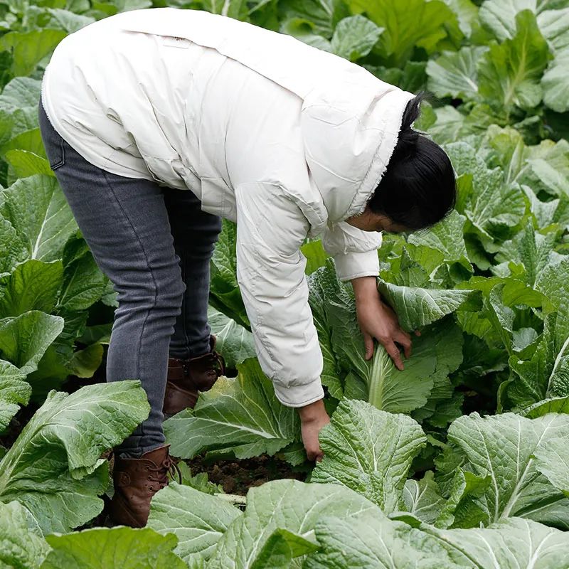 453fb540cd153f8e4eefd7271dd7bc03_640_wx_fmt=jpeg&wxfrom=5&wx_lazy=1&wx_co=1.jpg 453fb540cd153f8e4eefd7271dd7bc03_640_wx_fmt=jpeg&wxfrom=5&wx_lazy=1&wx_co=1.jpg