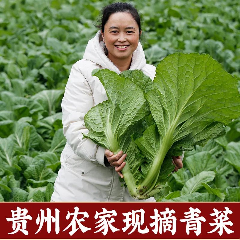 c996c1ffa5e204d20cbf49ed4d16e60c_640_wx_fmt=jpeg&wxfrom=5&wx_lazy=1&wx_co=1.jpg c996c1ffa5e204d20cbf49ed4d16e60c_640_wx_fmt=jpeg&wxfrom=5&wx_lazy=1&wx_co=1.jpg