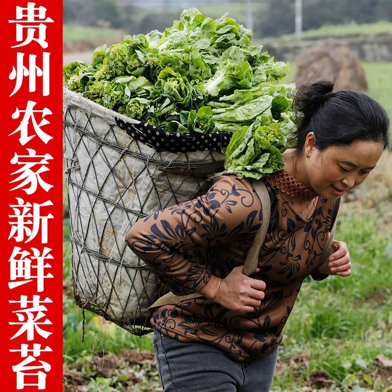 9388c66157b7b2ecadf6fa1aedf48717_640_wx_fmt=jpeg&wxfrom=5&wx_lazy=1&wx_co=1.jpg 9388c66157b7b2ecadf6fa1aedf48717_640_wx_fmt=jpeg&wxfrom=5&wx_lazy=1&wx_co=1.jpg