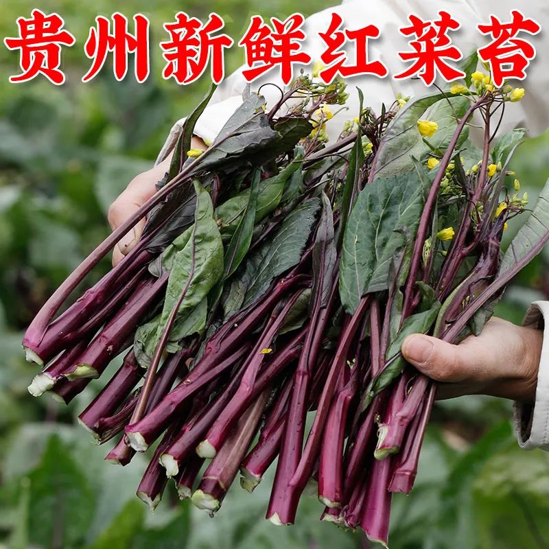 21b0ed92b6a0e1a00c736ea0eee1e3b7_640_wx_fmt=jpeg&wxfrom=5&wx_lazy=1&wx_co=1.jpg 21b0ed92b6a0e1a00c736ea0eee1e3b7_640_wx_fmt=jpeg&wxfrom=5&wx_lazy=1&wx_co=1.jpg