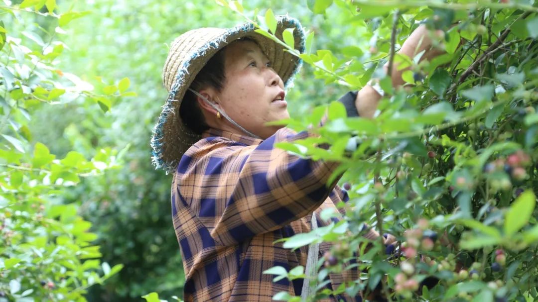 ce0b2b4424baedd6eb285c113c376268.jpg ce0b2b4424baedd6eb285c113c376268.jpg