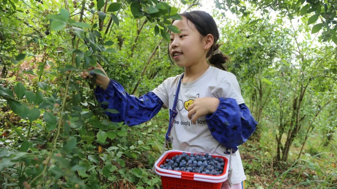 0a12cdfabe12c8fce06b6ae576e47a9c.jpg 0a12cdfabe12c8fce06b6ae576e47a9c.jpg