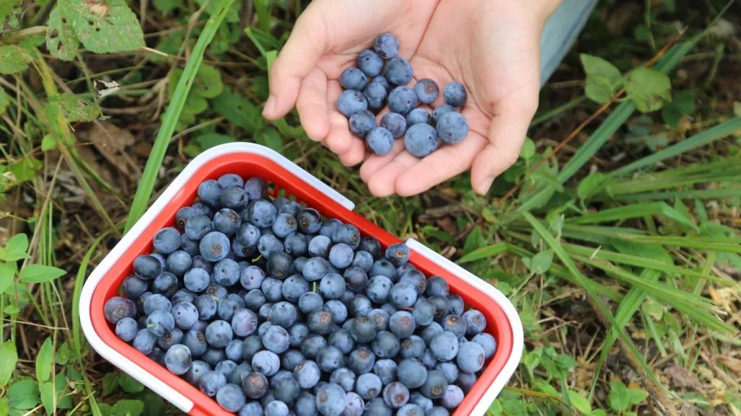 547bf1af6bf0df0a534bd6b7633578c2.jpg 547bf1af6bf0df0a534bd6b7633578c2.jpg