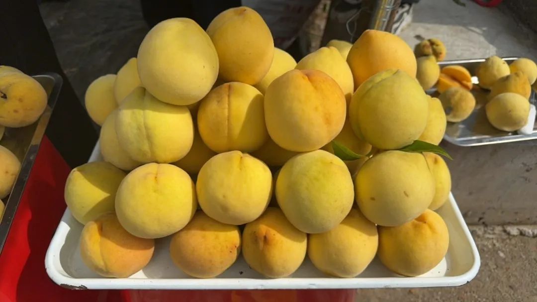 ebe100b1dbc8bfd1774c523094414d50.jpg ebe100b1dbc8bfd1774c523094414d50.jpg