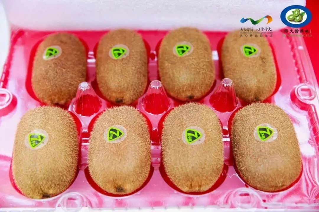 2e3626b4b022a0964d154f174ea46d43.jpg 2e3626b4b022a0964d154f174ea46d43.jpg