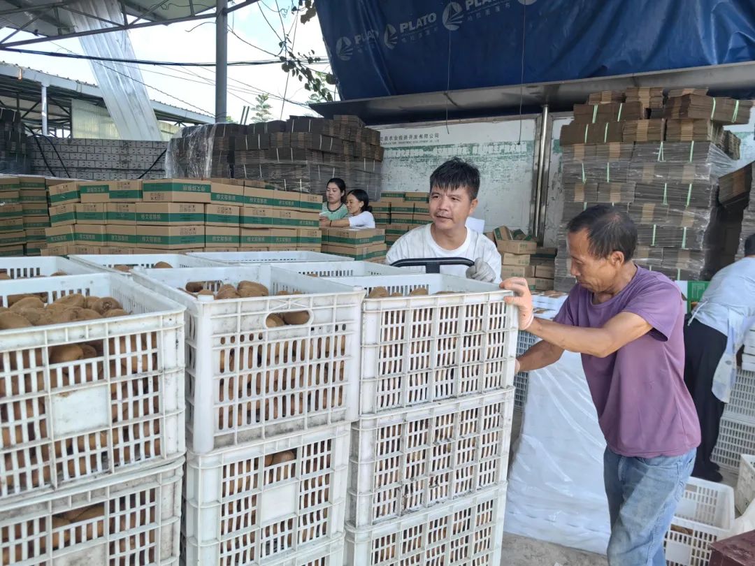 d15195ddff3b3685331dfcb0167f220f.jpg d15195ddff3b3685331dfcb0167f220f.jpg