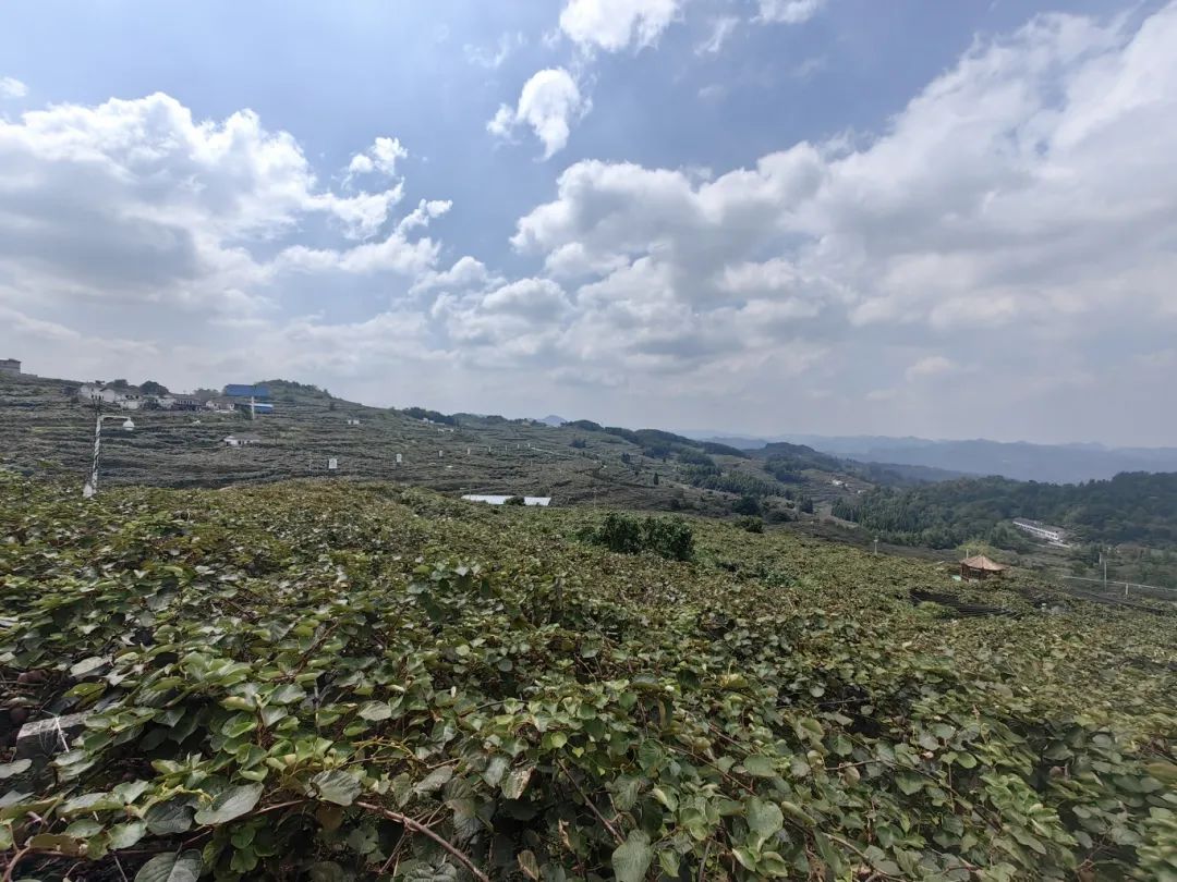 be1fb64621bb183a0197d9ae8360cd74.jpg be1fb64621bb183a0197d9ae8360cd74.jpg