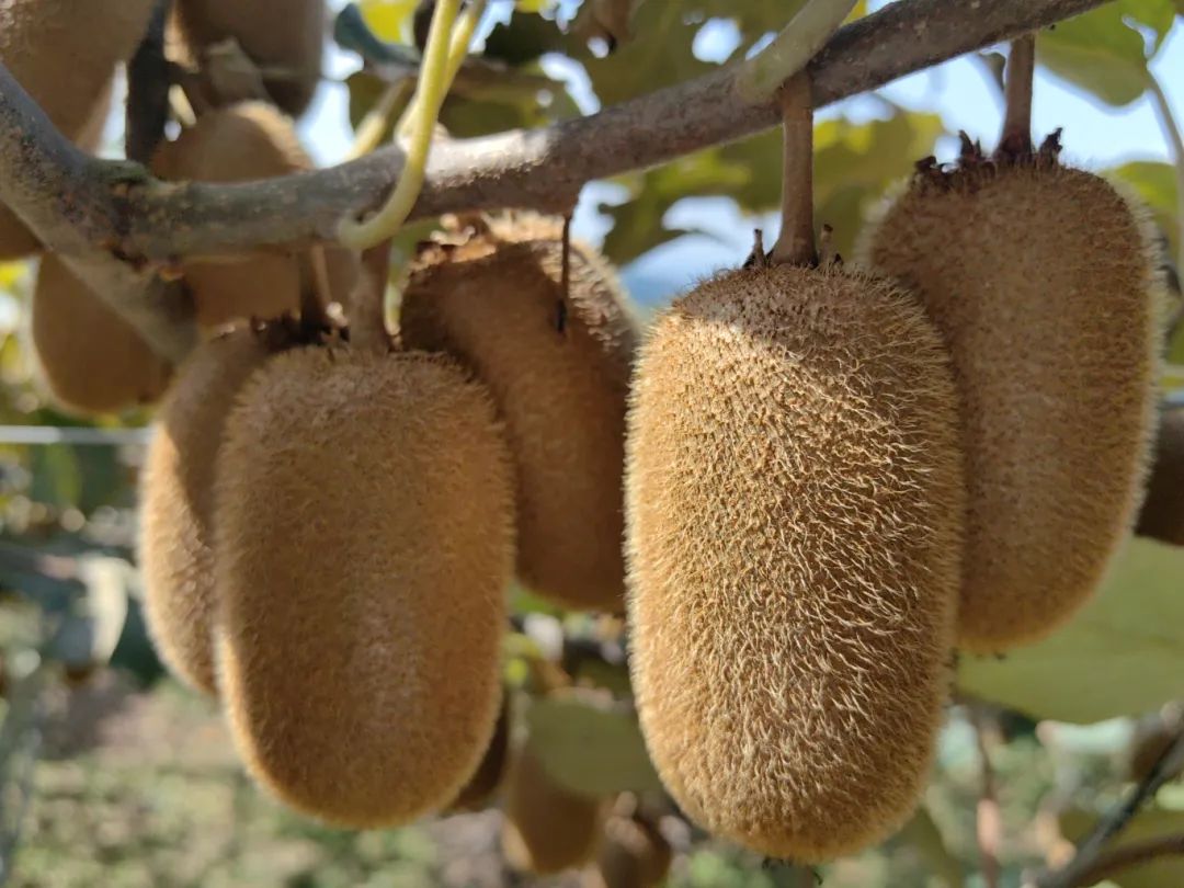 9d3a548abf815e5ab3372d92732b35a3.jpg 9d3a548abf815e5ab3372d92732b35a3.jpg