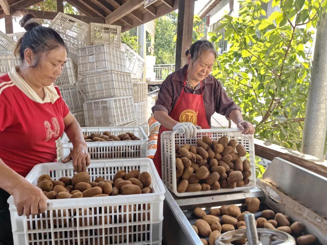 1cc9cdcbe5cbd357782a376ab321a028.jpg 1cc9cdcbe5cbd357782a376ab321a028.jpg