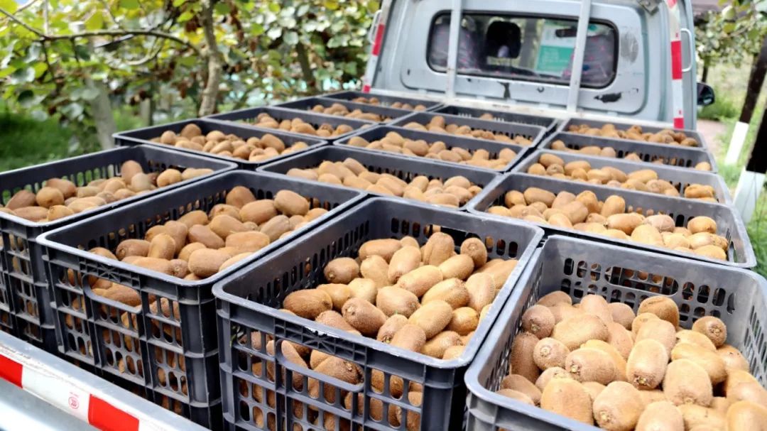 1576eca69dd7aa7ccc1a0417b30ff155.jpg 1576eca69dd7aa7ccc1a0417b30ff155.jpg