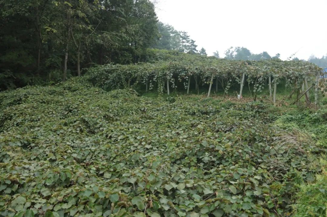 4bbe0b73346b7e40d37ae9aa2201b894.jpg 4bbe0b73346b7e40d37ae9aa2201b894.jpg