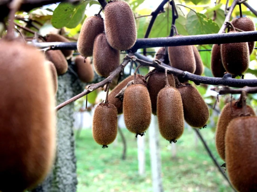 bace2bbeb3d2ea03804895613c85e590.jpg bace2bbeb3d2ea03804895613c85e590.jpg