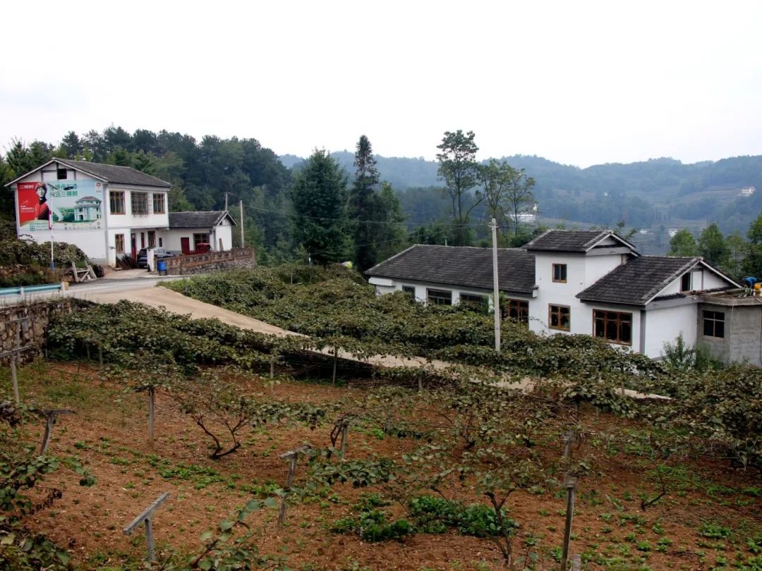 9feb063ebb828de372e17c30560232f5.jpg 9feb063ebb828de372e17c30560232f5.jpg