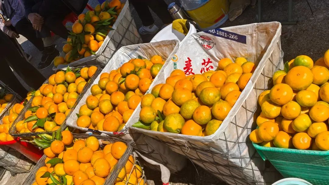 2c8dfd200245cba42580d022c91137a3.jpg 2c8dfd200245cba42580d022c91137a3.jpg