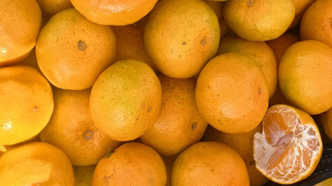 81658ca22d6aad6eb7121f6ae73adf39.jpg 81658ca22d6aad6eb7121f6ae73adf39.jpg