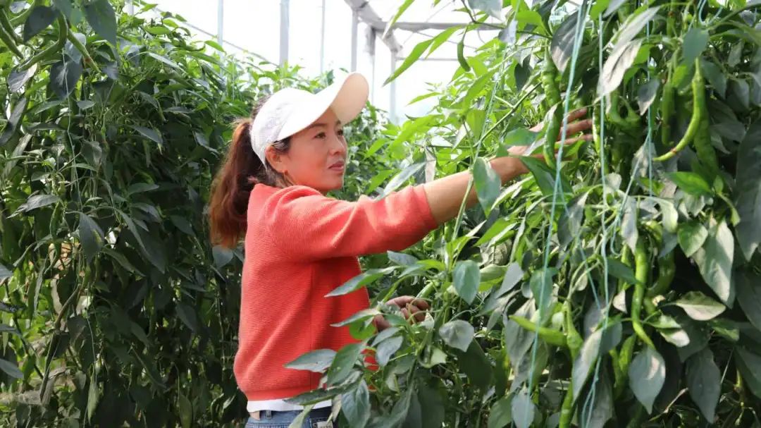 e373b6a47dac599bead53d861797e001.jpg e373b6a47dac599bead53d861797e001.jpg