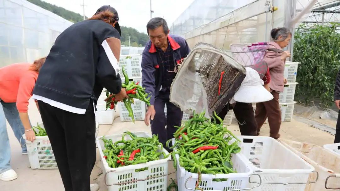 4f3de6fe1cb0e19cd873b3c4842cb4ff.jpg 4f3de6fe1cb0e19cd873b3c4842cb4ff.jpg