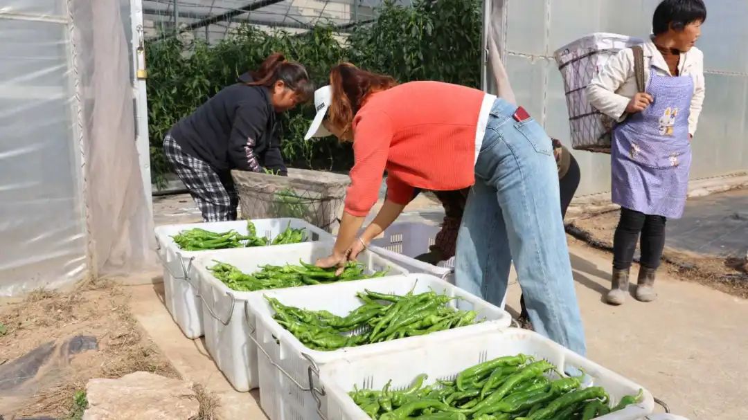 be954dfe383ca8f594b879ad35b6d5d0.jpg be954dfe383ca8f594b879ad35b6d5d0.jpg