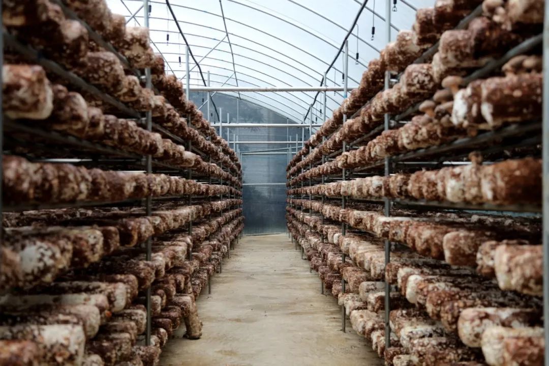 bc00b7bebd498ab97218e946015beeb2.jpg bc00b7bebd498ab97218e946015beeb2.jpg