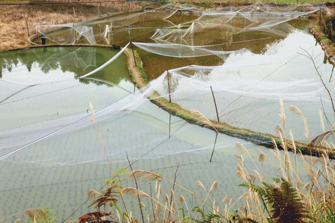 74f485709a0e9d5298cdf740a836f594.jpg 74f485709a0e9d5298cdf740a836f594.jpg