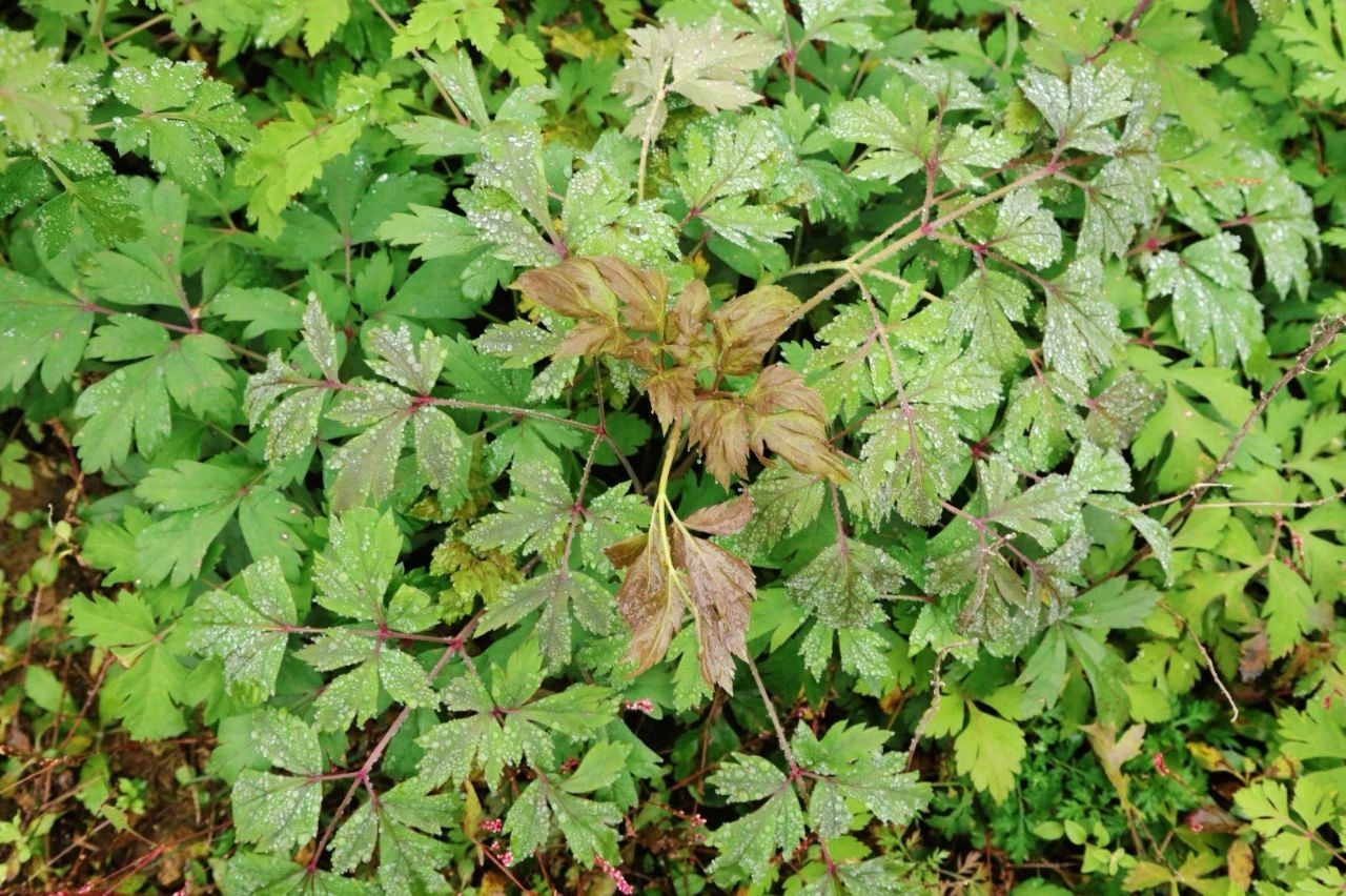 375fc8fb15b210089d75a59c87967eda.jpg 375fc8fb15b210089d75a59c87967eda.jpg