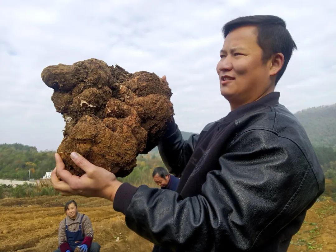 6675e5367b84f0ba604a62ac57297dd6.jpg 6675e5367b84f0ba604a62ac57297dd6.jpg