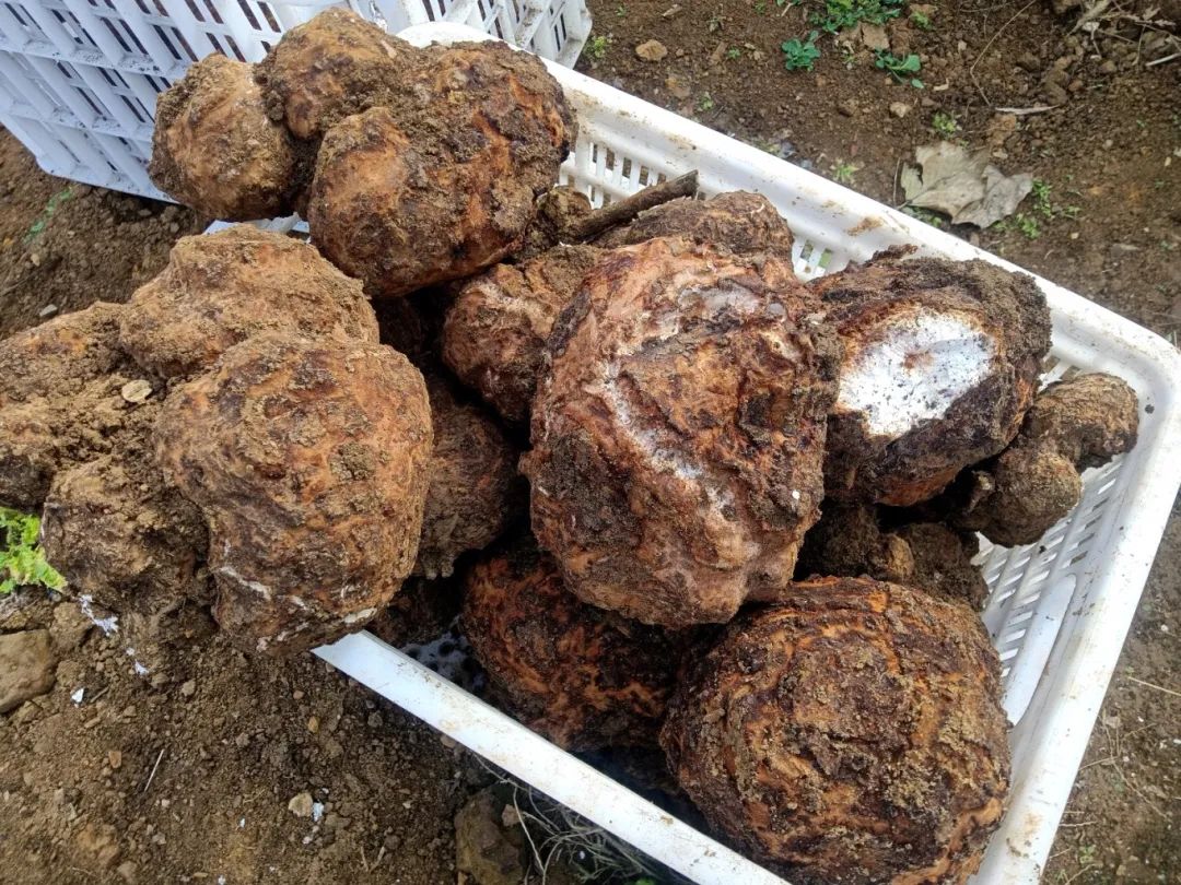 5b5bfca960270f913a42117e0fdfd7d2.jpg 5b5bfca960270f913a42117e0fdfd7d2.jpg