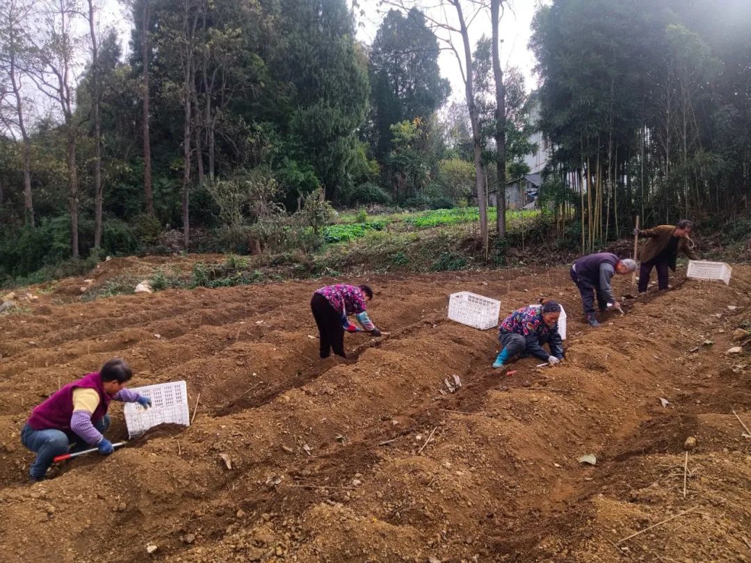 f50c5da23103e0eccb7ee34955844544.jpg f50c5da23103e0eccb7ee34955844544.jpg