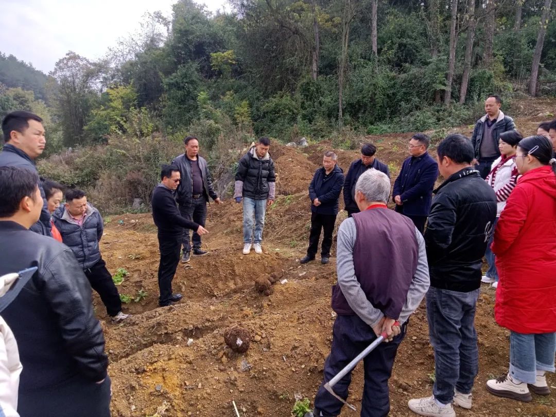 ebab46ca2ebf22711ff228f7d2d8aceb.jpg ebab46ca2ebf22711ff228f7d2d8aceb.jpg