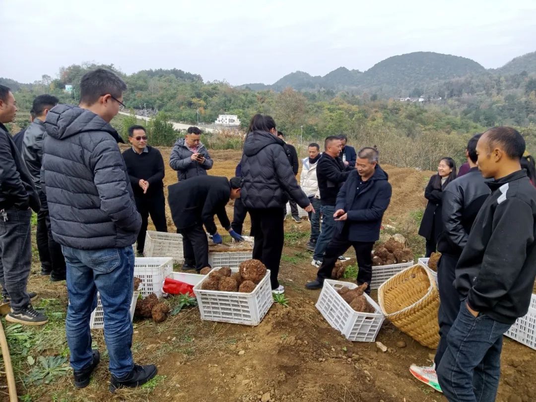 f0cd5a7e4bad211f4f285f0b8b64e8e6.jpg f0cd5a7e4bad211f4f285f0b8b64e8e6.jpg