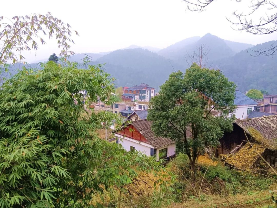 8bb75112702fc7624de7f7694db68650.jpg 8bb75112702fc7624de7f7694db68650.jpg