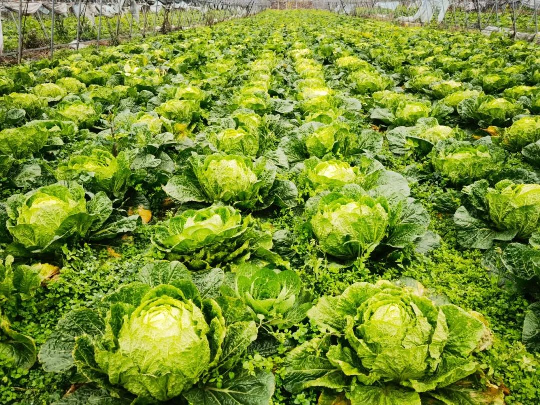 7cdee8466a621df680c99302b87dcf7f.jpg 7cdee8466a621df680c99302b87dcf7f.jpg