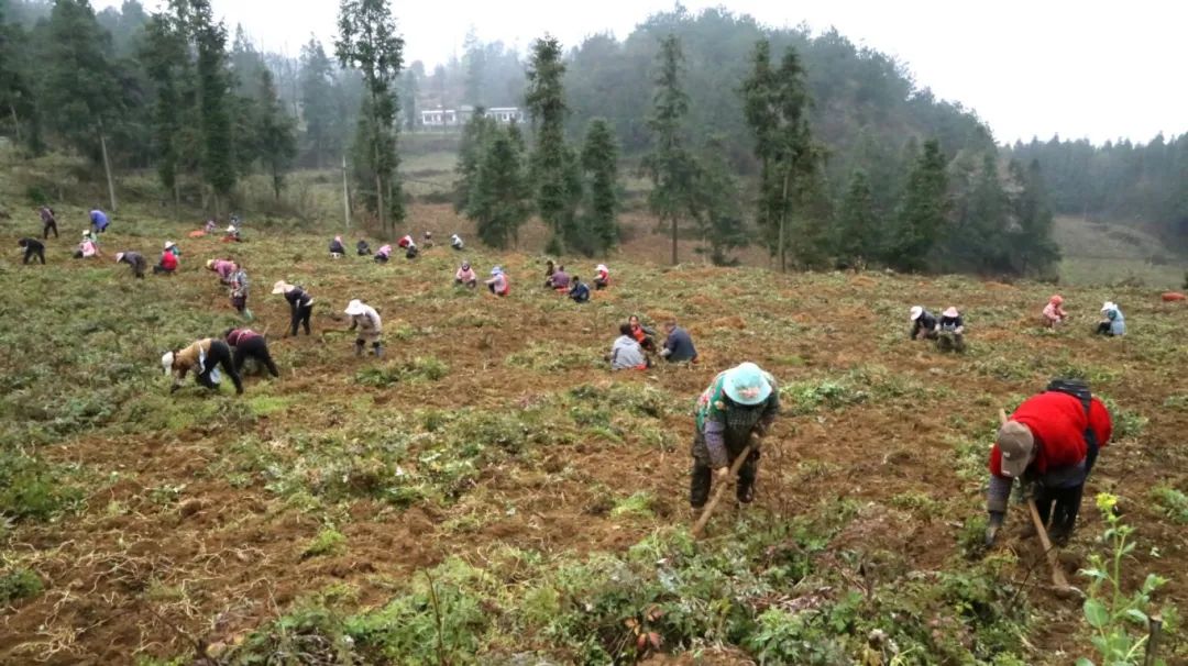 66b5da88f98125553a6cd8cd812f1aa7.jpg 66b5da88f98125553a6cd8cd812f1aa7.jpg