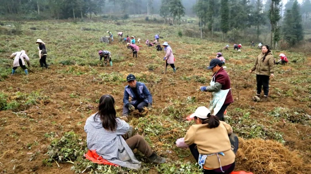 094cb0674cb487c0ef5bdba10a651d42.jpg 094cb0674cb487c0ef5bdba10a651d42.jpg