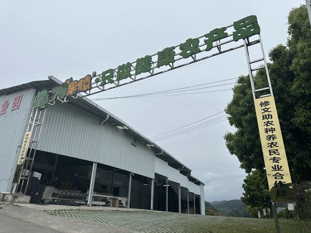 3142aeed089d10088fb774856918a0da.jpg 3142aeed089d10088fb774856918a0da.jpg