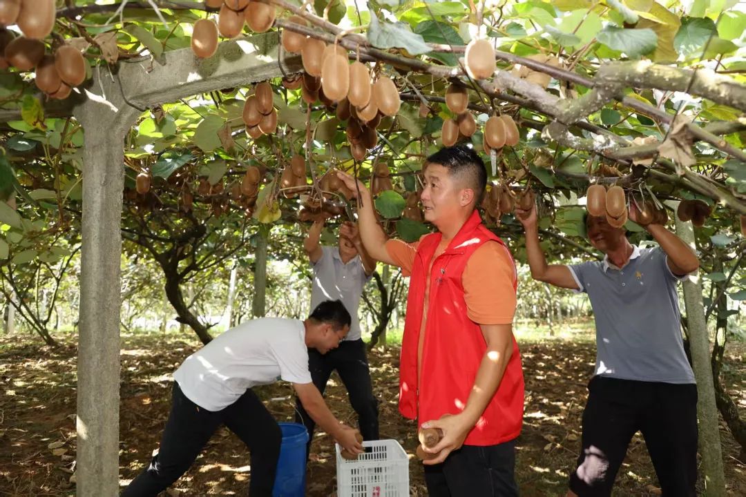 25690f2776a6d8ea3effcdd4736146f2.jpg 25690f2776a6d8ea3effcdd4736146f2.jpg