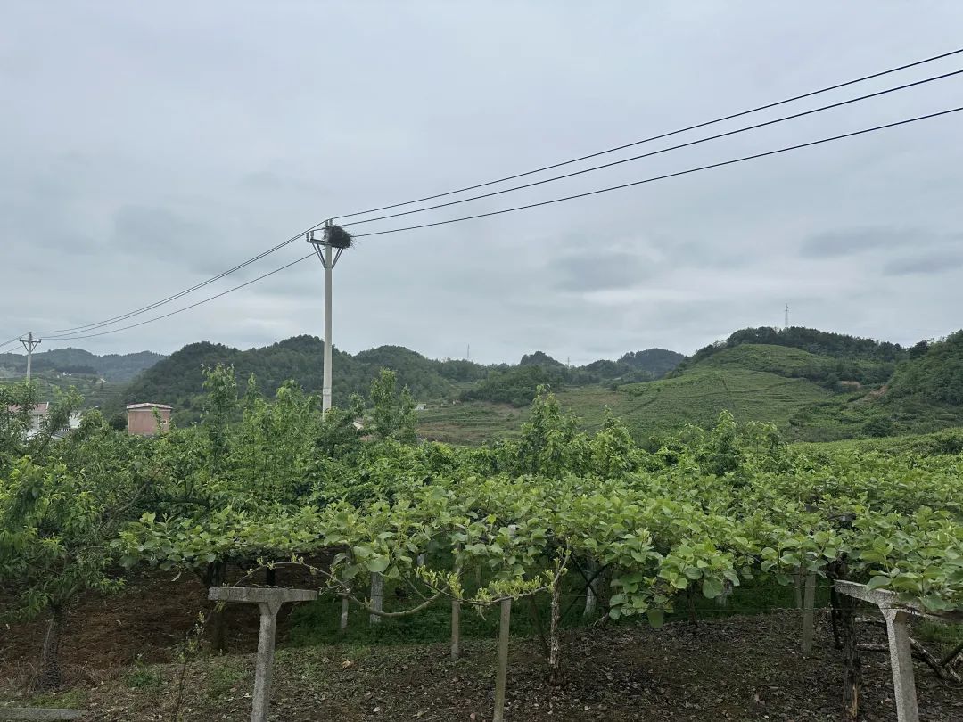 25878320cb2aa42f4a24b2cc14635eeb.jpg 25878320cb2aa42f4a24b2cc14635eeb.jpg