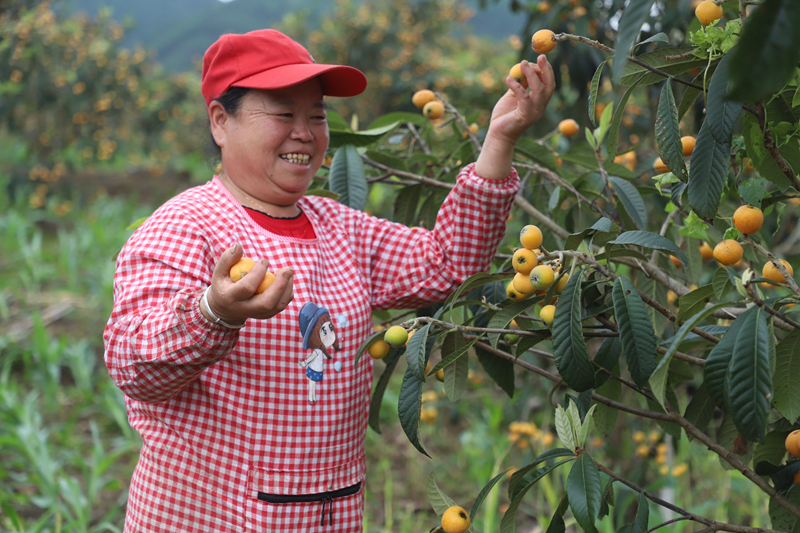 221eba4bbc2b4b1fe3fe0f1bbdc60ca9.png 221eba4bbc2b4b1fe3fe0f1bbdc60ca9.png