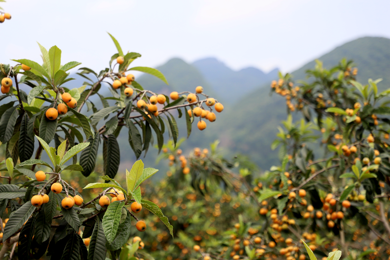 d76591006962cf522475b561b5c2db23.png d76591006962cf522475b561b5c2db23.png