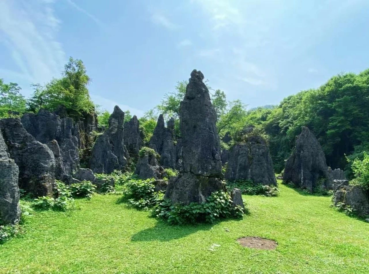 f505347d5f540cb7870562bfce92341f.jpg f505347d5f540cb7870562bfce92341f.jpg