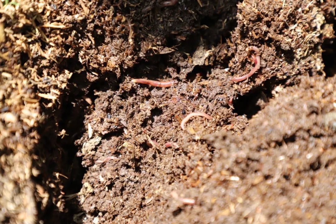 48f941adee8e64159dbeacb1ee15def8.jpg 48f941adee8e64159dbeacb1ee15def8.jpg