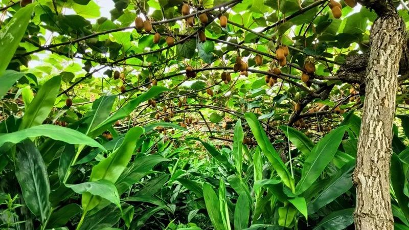 d0491d7012dfb4325509c809a9c4cf01.jpg d0491d7012dfb4325509c809a9c4cf01.jpg