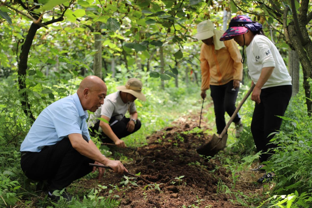 d789a3bbad9570e7f161e6da13e25498.png d789a3bbad9570e7f161e6da13e25498.png