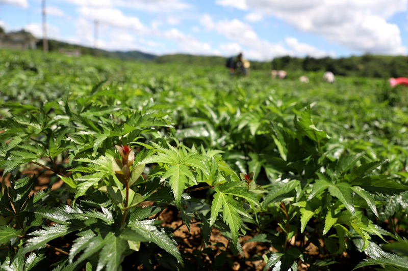 6c3383264494f7510ae4b77010abcbc4.png 6c3383264494f7510ae4b77010abcbc4.png