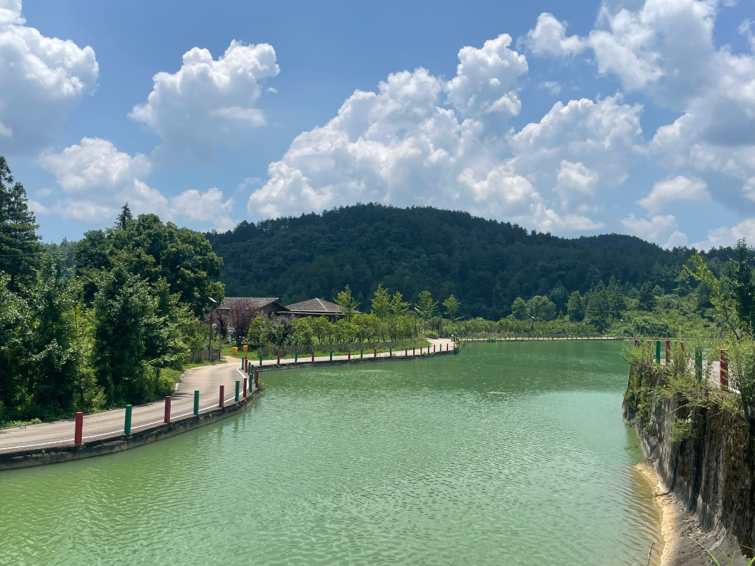 9ccbcbdbc972fc8bd655cedf563e1b11.png 9ccbcbdbc972fc8bd655cedf563e1b11.png